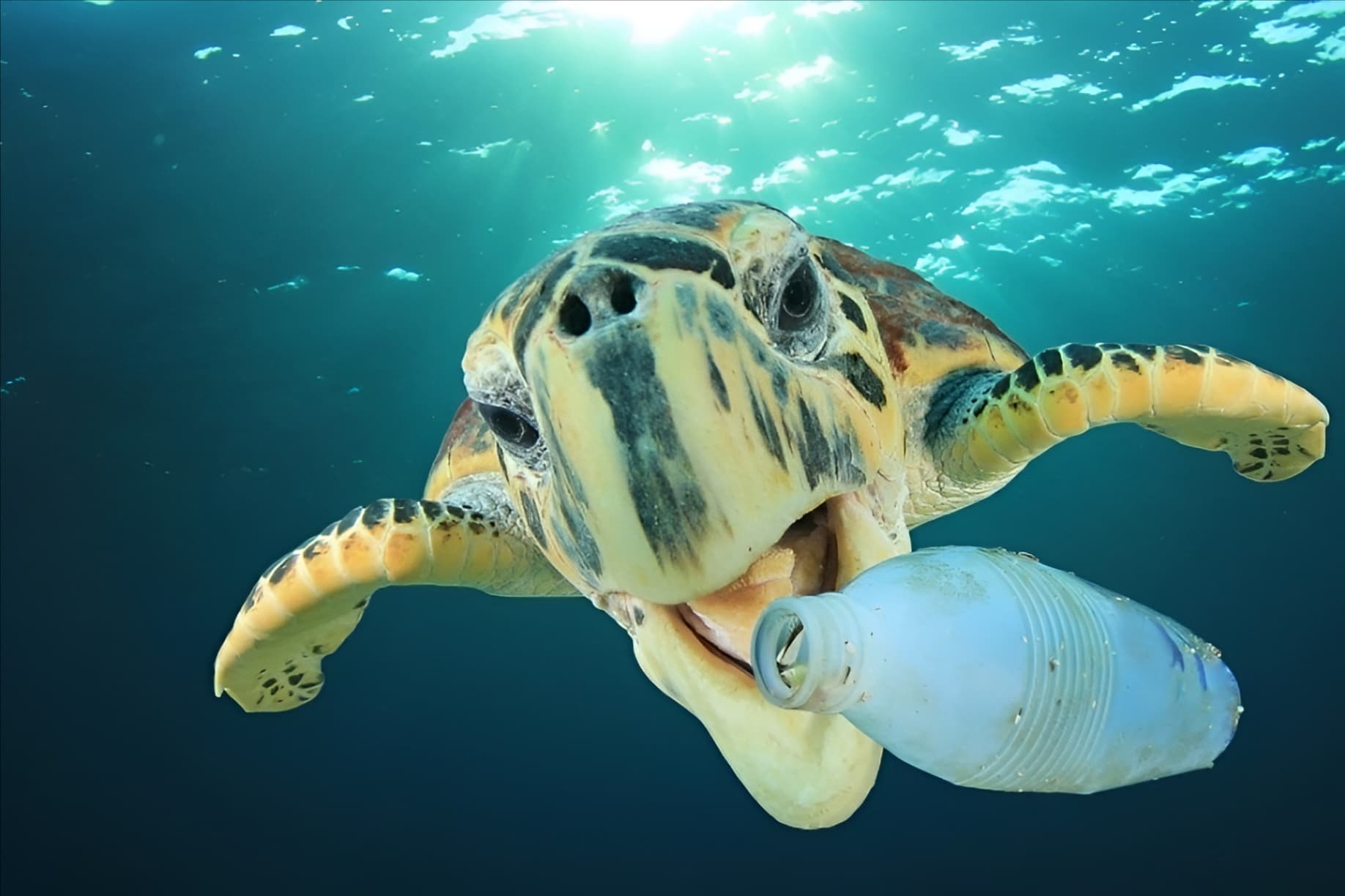 Haqua — engagement pour l'environnement et une eau plus pure