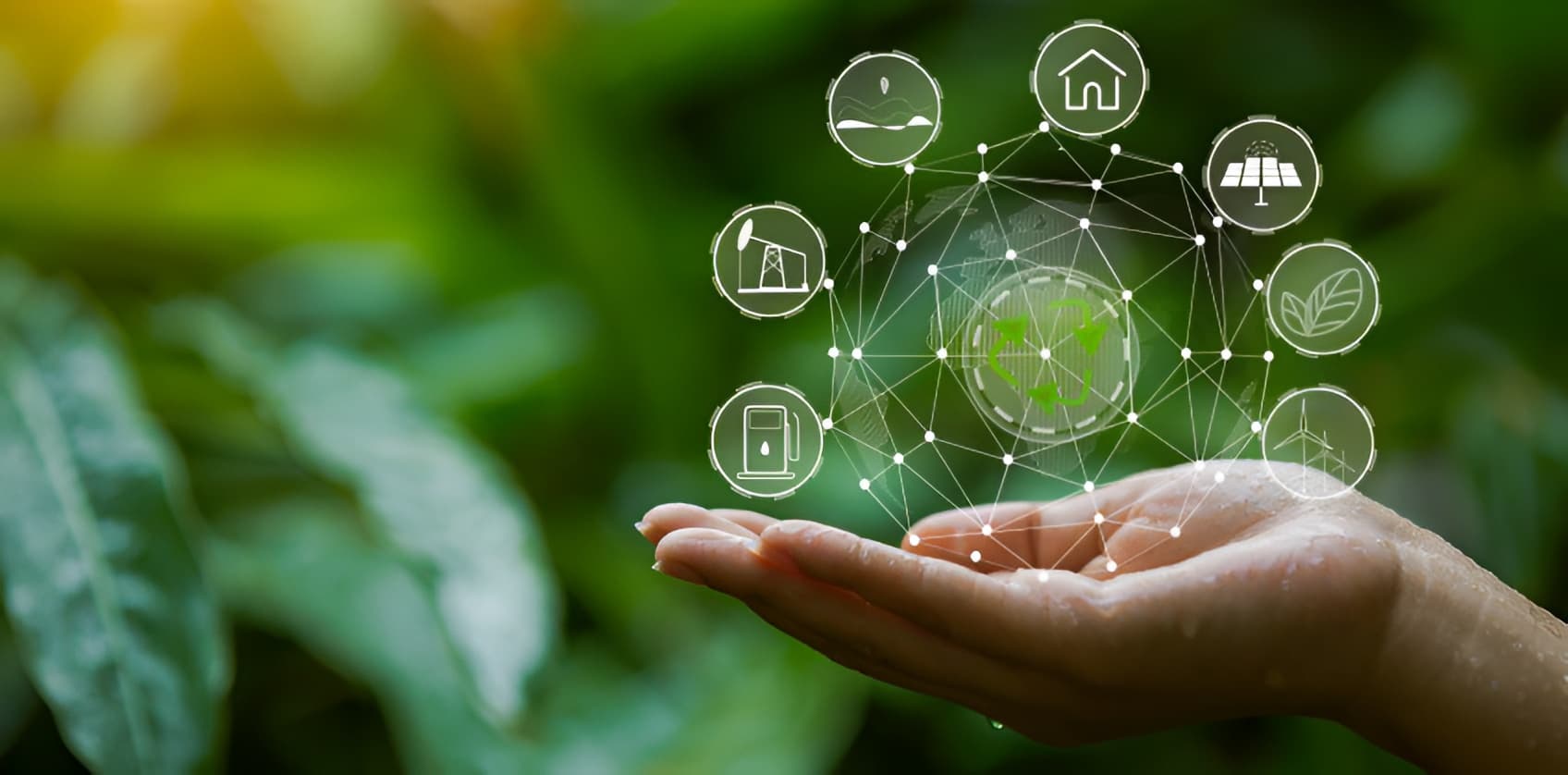Nature et environnement — Haqua s'engage pour la planète